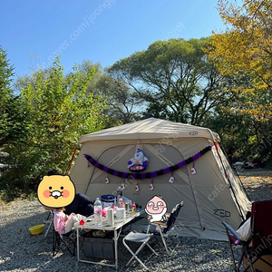 제드 오토 듀얼하우스 탄 차박텐트