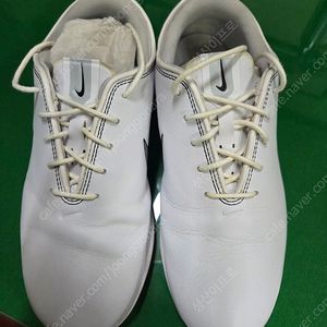 나이키 골프화 255