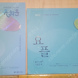 2025 유휘운 요플 + 요키