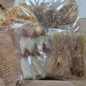 포항 죽도시장) 쥐포, 아귀포, 오징어 건어물