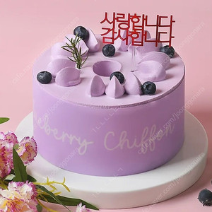 파리바게뜨 상큼한 블루베리 쉬폰 케이크