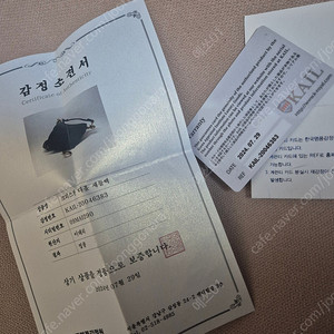 디올새들백미니