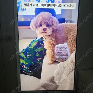 삼성 스마트모니터 m5 27인치 팝니다.