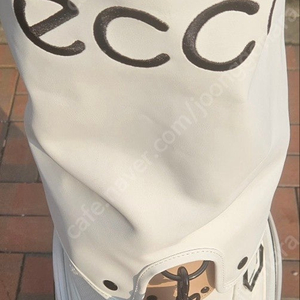 에코 Ecco 골프캐디백