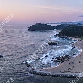 (최저가) 5/24,31일 양양,삼척,진도쏠비치/변산/거제 초특가 가실분~