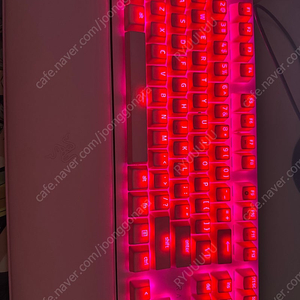 레이저 헌츠맨 v2 tkl 쿼츠 , 레이저 바이퍼 얼티메이트 쿼츠 일괄 판매합니다