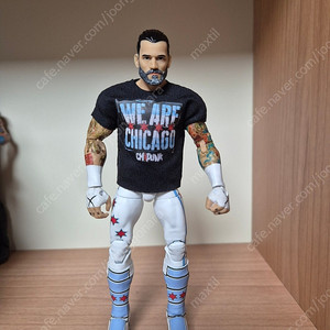 wwe 피규어 정리 (6차)