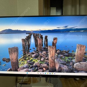 4k 32인치 lg 모니터