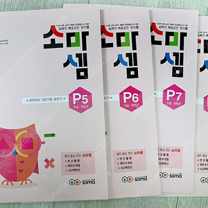 소마셈 p