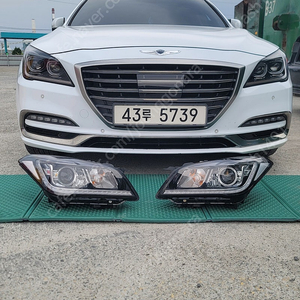 g80 라이트