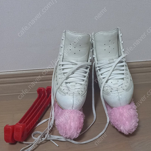 에디아아이스플라이 230D