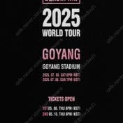 BLACKPINK 2025 WORLD TOUR IN GOYANG 블랙핑크 콘서트 티켓 양도