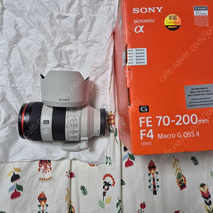 소니 FE 70-200 F.4 G OSS II (애기유령2)