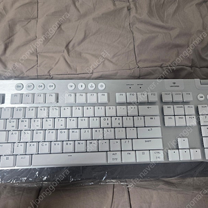 로지텍 G915 X LIGHTSPEED 무선 게이밍 키보드 화이트, 갈축 신동품 풀박스