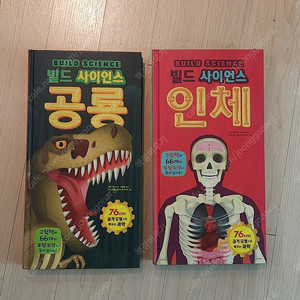 빌드사이언스