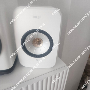 KEF LSX 2 화이트 컬러 (KEF LSX 2 LT가 아님)
