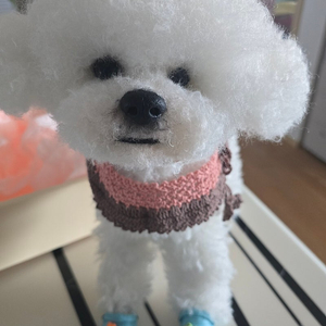비숑프리제 양모 강아지 인형 팝니다