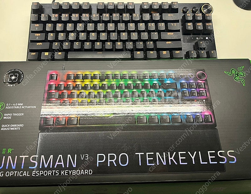 레이저 헌츠맨 v3 pro tkl--0