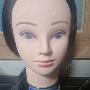 천혜인 통가발 새것