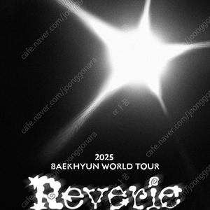 백현 2025 BAEKHYUN WORLD TOUR 〈Reverie〉 in SEOUL