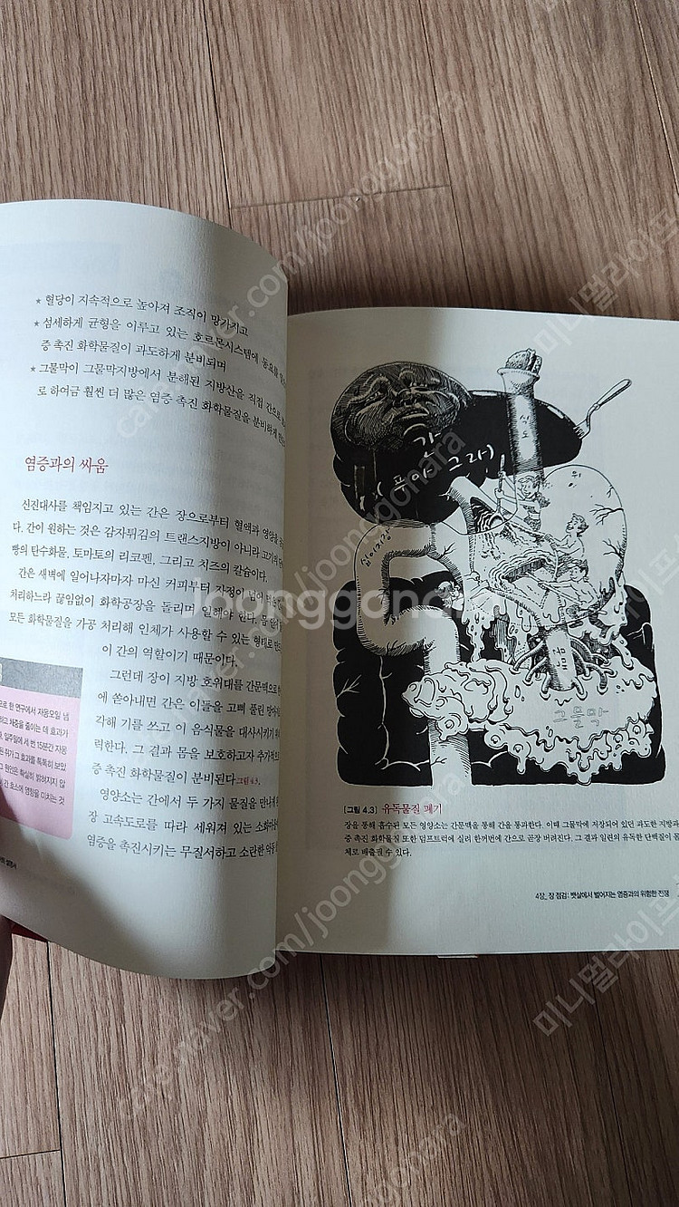 (도서) 내몸 다이어트 설명서, 숀리 다이어트--3