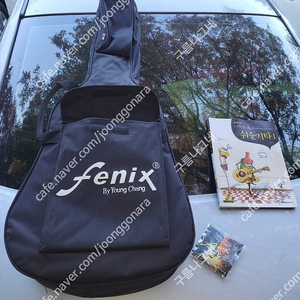 영창기타 fenix yf 100b 입문용 상태양호 ( 6만원 택배시 7천원 추가 ).