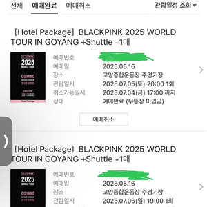 블랙핑크 콘서트 호텔 1인 2박3일 BLINK석 토/일 아옮/계옮