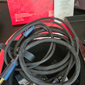 FIIO LL-RD 2024 1.5M 순은선 판매합니다