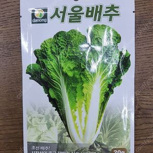 서울배추 씨앗 올해꺼 손해보고 드려요..