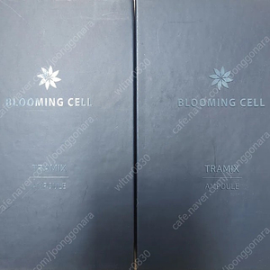 블루밍셀 미백기능성 기미 색소침착 화이트닝 트라넥삼산 광채 앰플