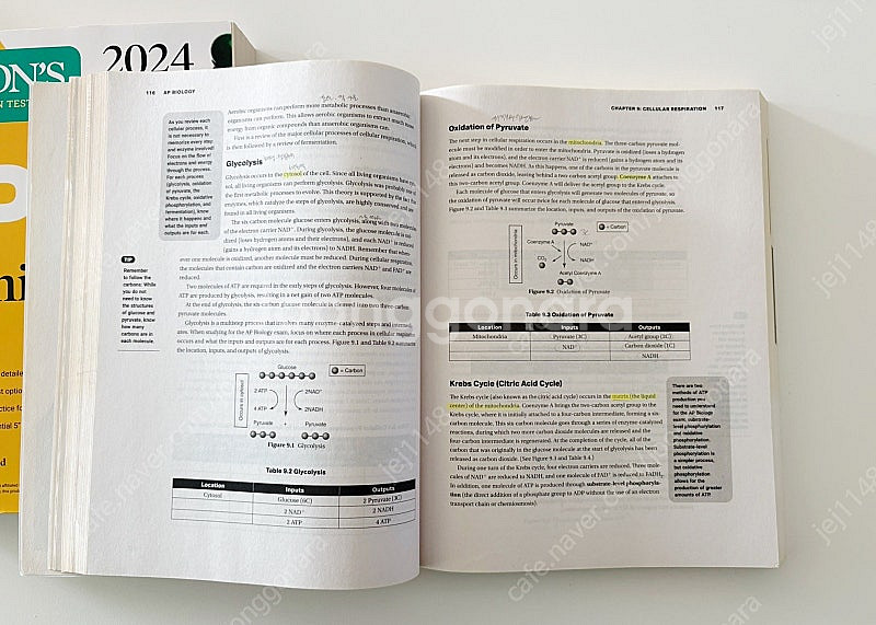AP BIOLOGY, AP CHEMISTRY 2024 ...--1