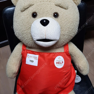 (새상품) 19곰 테드 50센치