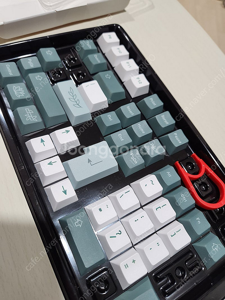 [키캡] Terukir PBT 키캡 100키 체리 프로...--1
