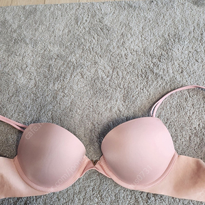 빅토리아 시크릿 브라