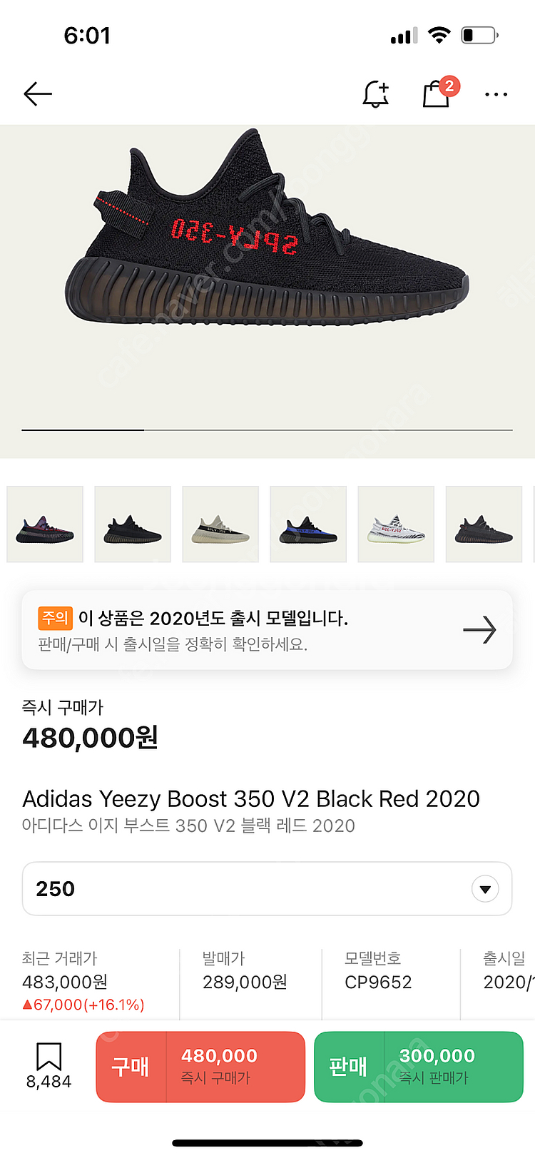 이지부스트350 브레드 250사이즈 팝니다--9