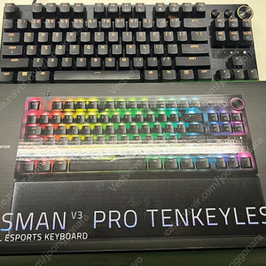 레이저 헌츠맨 v3 pro tkl