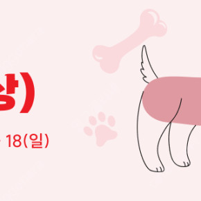 2025 메가주 일산 입장권