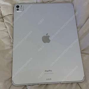 아이패드 프로 M4 13인치 셀룰러 256GB 실버