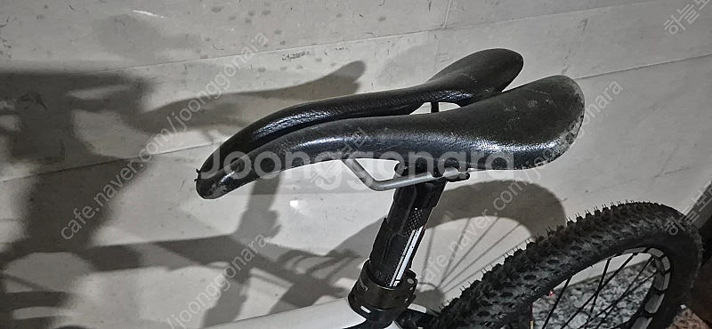 엘파마 판타시아 풀카본 XTR--1