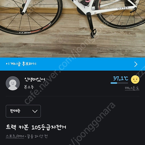 트렉 여자 로드자전거