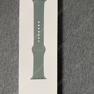 애플워치 정품 스포츠밴드 올리브 41mm