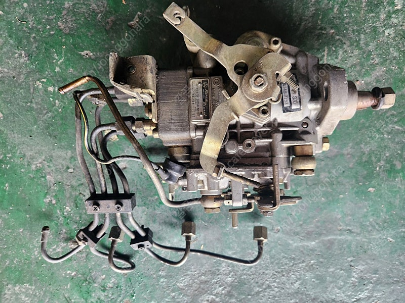 베스타 브란자--1