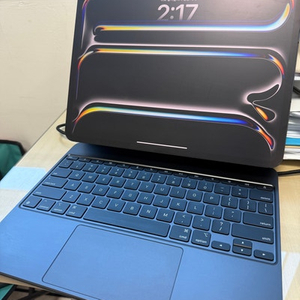 아이패드 프로13 m4 1tb 셀룰러 / 아이패드 프로11 m4 1tb 셀룰러