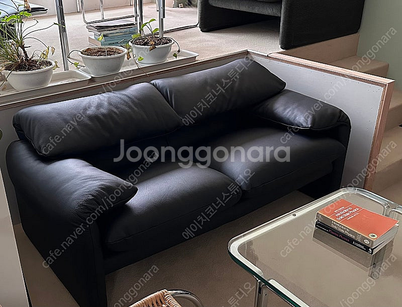 Cassina maralunga 까시나 마라룽가--3
