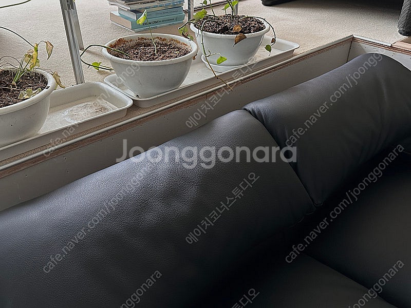Cassina maralunga 까시나 마라룽가--8