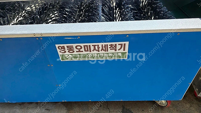 영동 오미자세척기--4