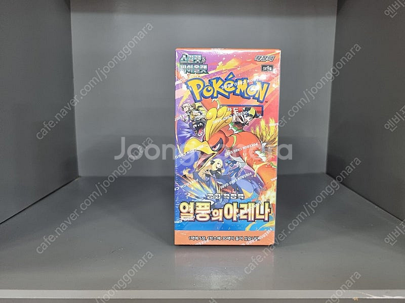 초판 프로모카드 포켓몬카드 열풍의아레나 프로모 카드 열...--0