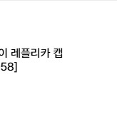 한화이들스 꿈돌이 레플리카모자(L)사이즈 M으로 교환