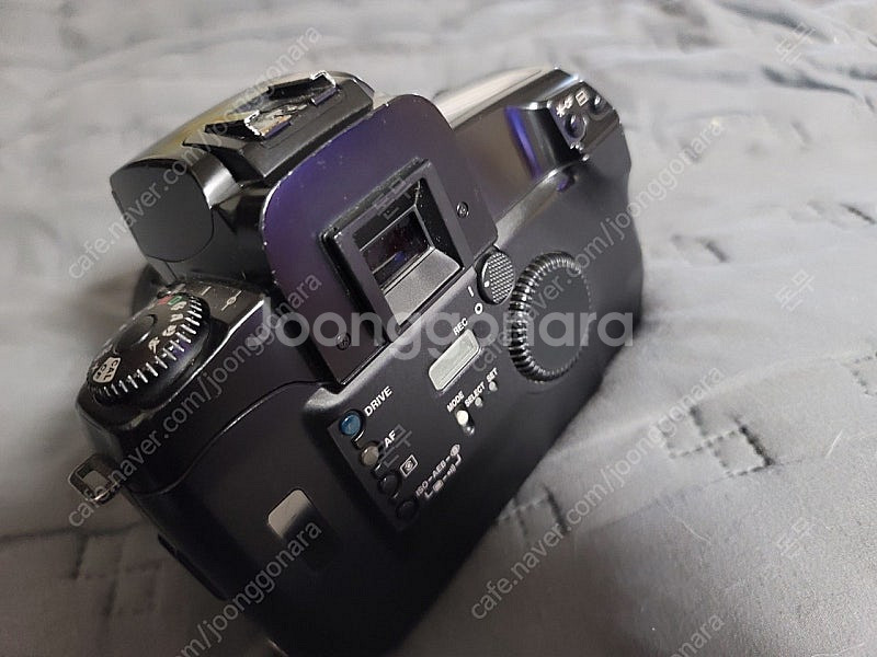명기 캐논 eos5 + 시그마35-80--1