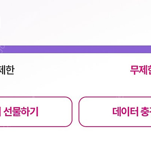 LGU+ 데이터 2GB판매